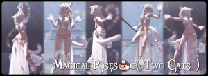 Magical poses for magical stuff!